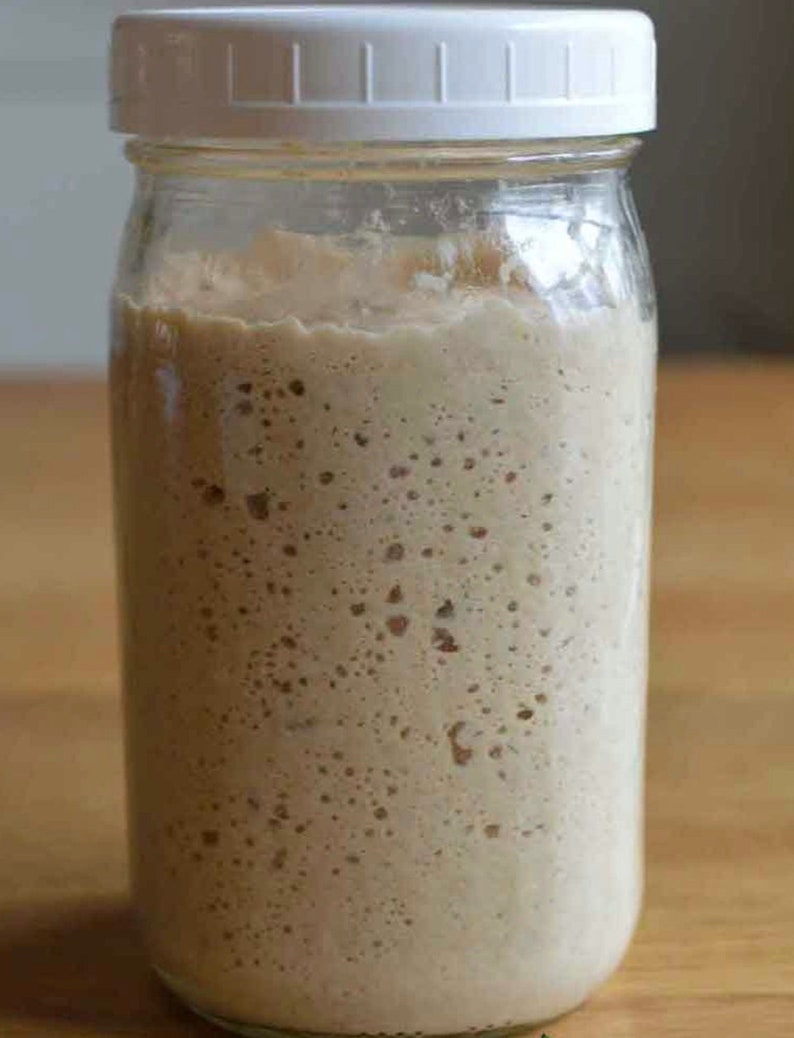 A 1950's San Francisco Sourdough Starter 100% organic. Dehydrated 32 grams. Her name is Motherfluffer