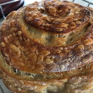 Sourdough Starter Plus a Free Second Starter