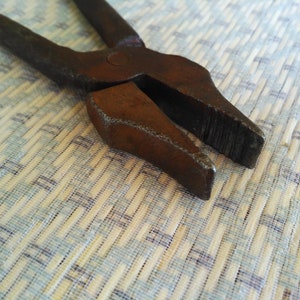 May include: Close-up of a rusty, metal pliers with a textured surface. The pliers are open and the jaws are visible.