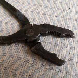 May include: A pair of rusty pliers with a serrated jaw and a smooth handle. The pliers are open and the jaws are facing the camera.