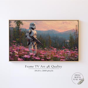 May include: A framed digital art print depicts a Stormtrooper in a field of pink flowers, holding a blaster. The background features a sunset over a mountain range and forest. The text "Frame TV Art 4K Quality" is at the bottom.