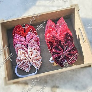 Sequin Velvet Nylon or Clips