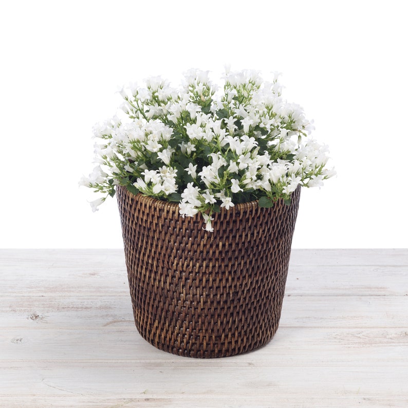 Rattan Flower Planter Rattan Flower Pot dia 19cm X H 18cm Etsy UK