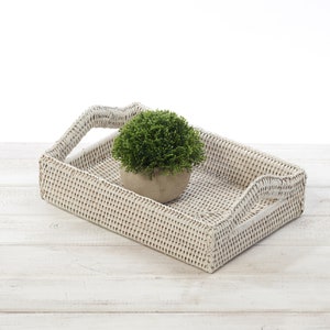 May include: White wicker tray with two handles and a small potted green plant in the centre.