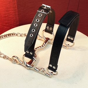 Horse bit Head Harness.