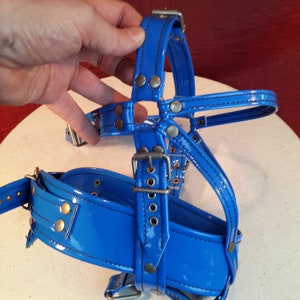 Closed Mouth Head Harness with Collar.