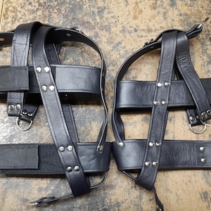 Heavy leather head support suspension harness.
