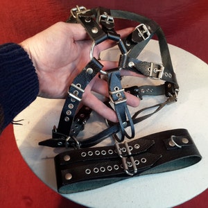 Full Face Head Harness with collar.