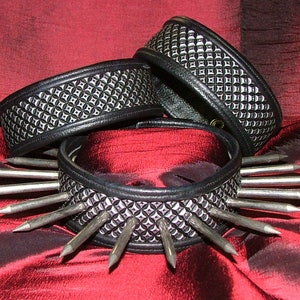 Spiked Leather Collar with 16 Spikes and silver inlay.