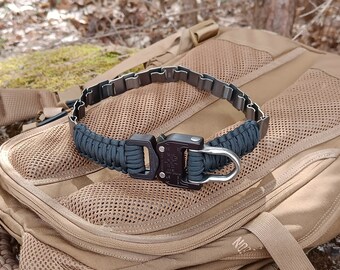 Stainless Steel Dog Collar With Original AustriAlpin Cobra D-ring Buckle, NeckTech Fun Herm Sprenger Collar With Quick Realeas Buckle