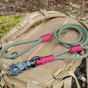 Double Handle Heavy Duty Climbing Rope Dog Leash With Frog 360 Carabiner, Traffic Handle  Leash, Control Dual Handle Leash