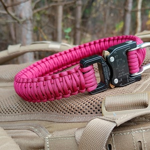 Robustes Hundehalsband aus Paracord: Cobra Buckle für mittelgroße bis große Hunde