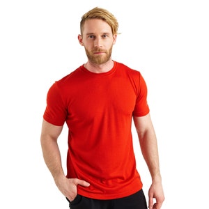 100% Merino Wool T-Shirt Men, Thermal T-Shirt, Men's Wool Shirt, Mens Activewear, Natural Hiking Clothing image 10