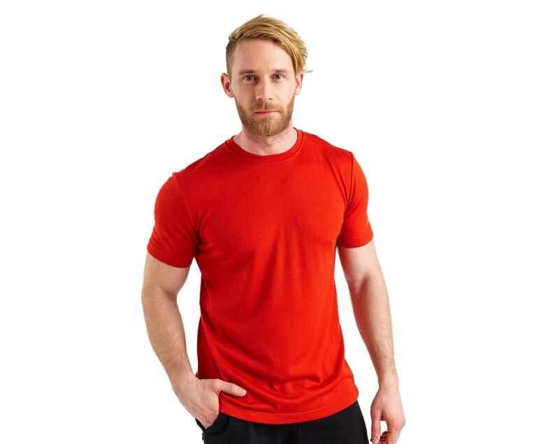 100% Merino Wool T-Shirt Men, Thermal T-Shirt, Men's Wool Shirt, Mens Activewear, Natural Hiking Clothing image 10