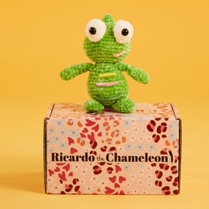 DIY Beginner Large Amigurumi Chameleon Crochet Kit, Crochet Starter Kit, Learn To Crochet, Gift Ideas, DIY Kit, Crochet Kit With Tools