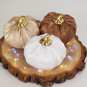 Fall boho decor home Rustic Pumpkin Decor Set Farmhouse Autumn Centerpiece Fall mantle decor Modern rustic centerpiece Coffee bar decor