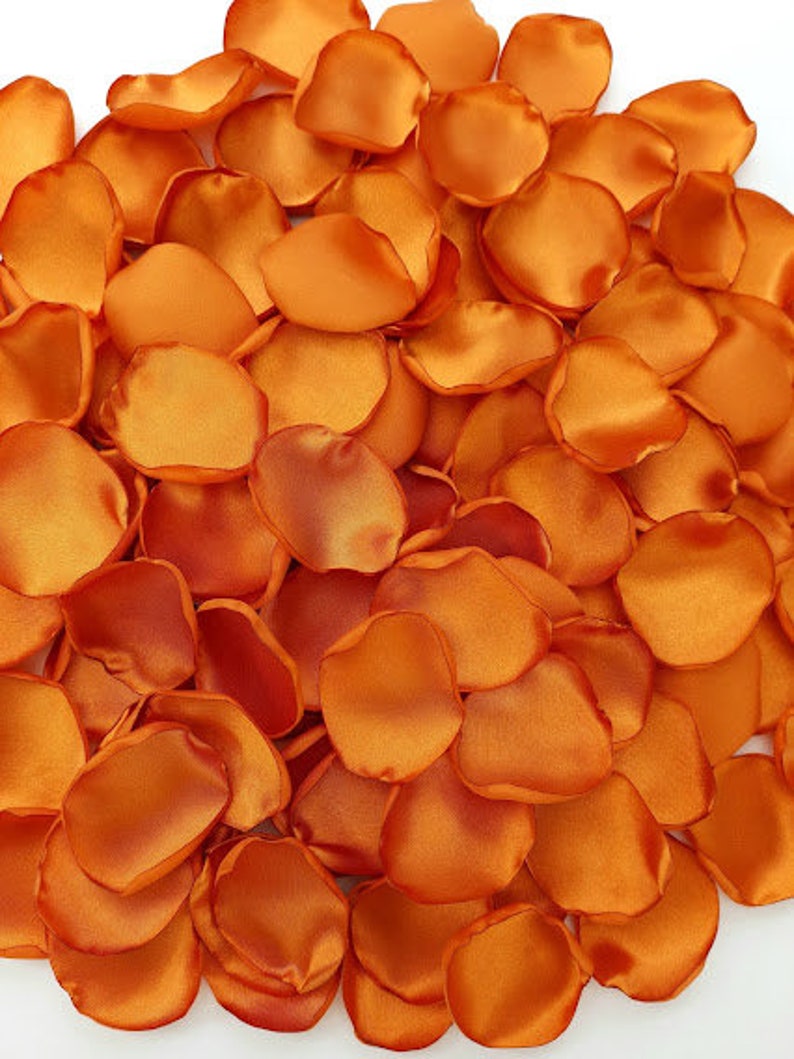 Burnt Orange Flower Petals Copper Wedding Rust Orange Rose Etsy