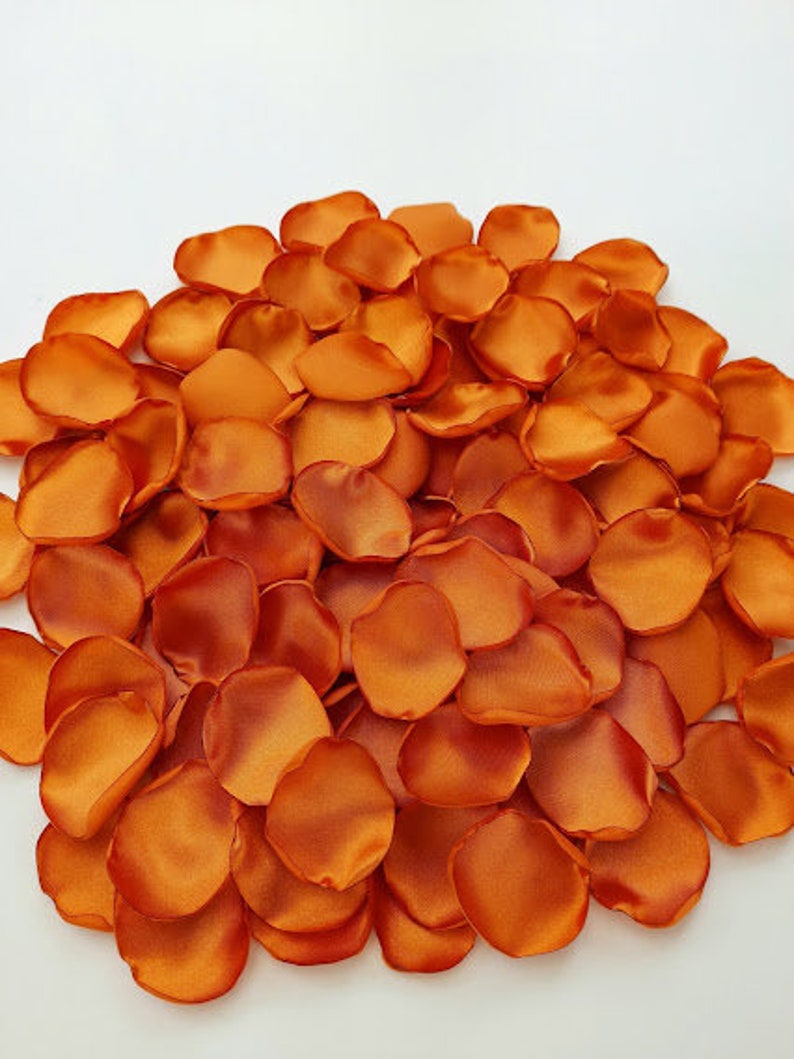 Burnt Orange Flower Petals Copper Wedding Rust Orange Rose Etsy