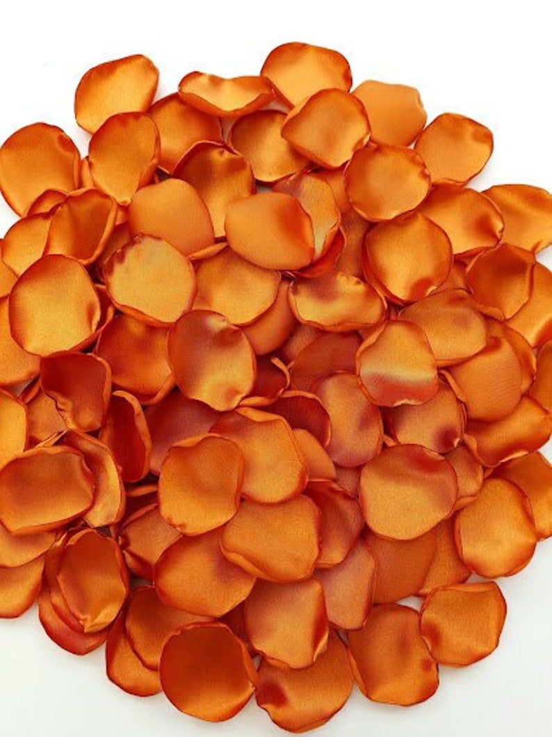 Burnt Orange Flower Petals Copper Wedding Rust Orange Rose Etsy