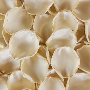 Champagne rose petals Gold wedding decor Bridal shower Champagne flower petals Boho decor