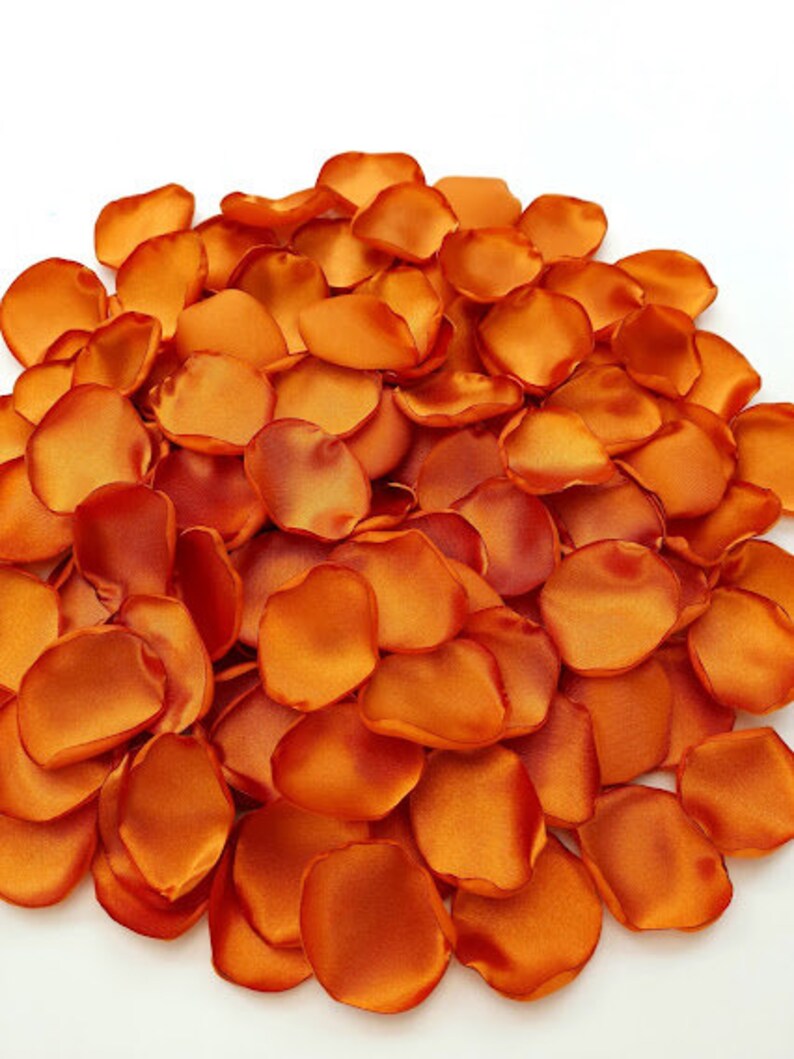 Burnt Orange Flower Petals Copper Wedding Rust Orange Rose Etsy