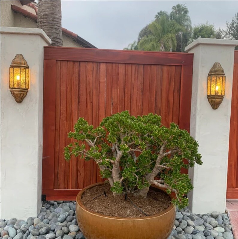Brass Wall Sconce Lantern – Handmade Outdoor Wall Light, Oriental Lantern Lamp, Luxury Garden & Entryway Lighting Fixture bild 6