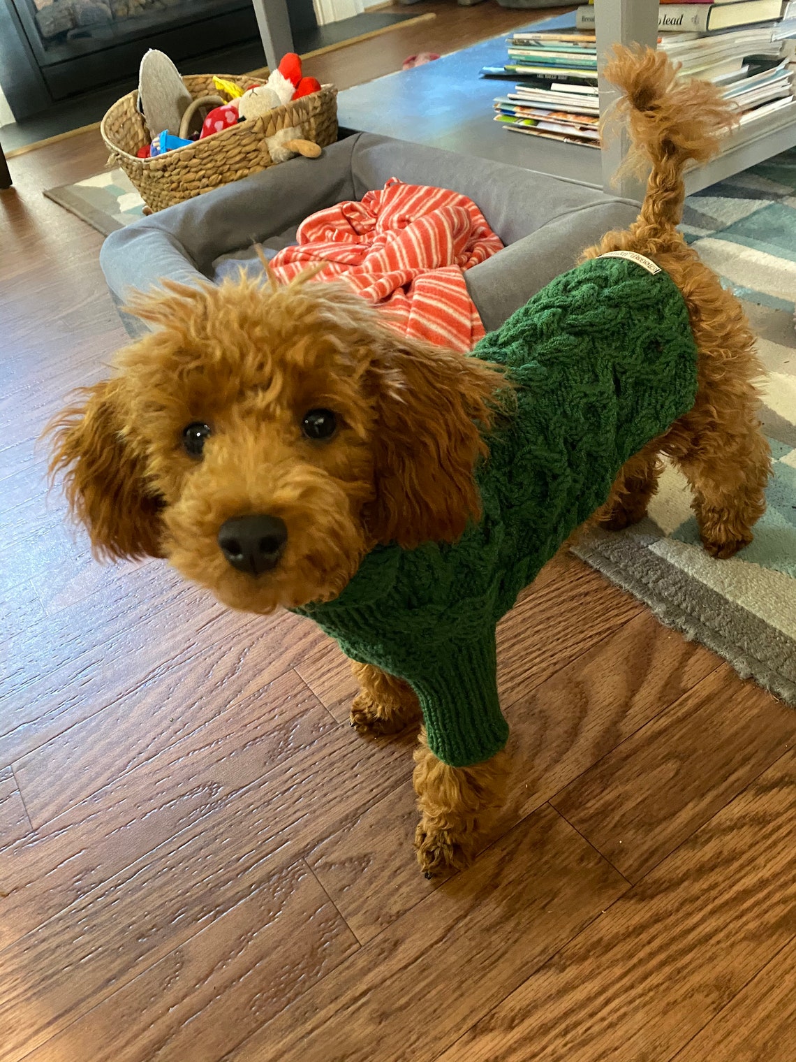 Custom dog sweater Puppy clothes Small dog sweater Etsy