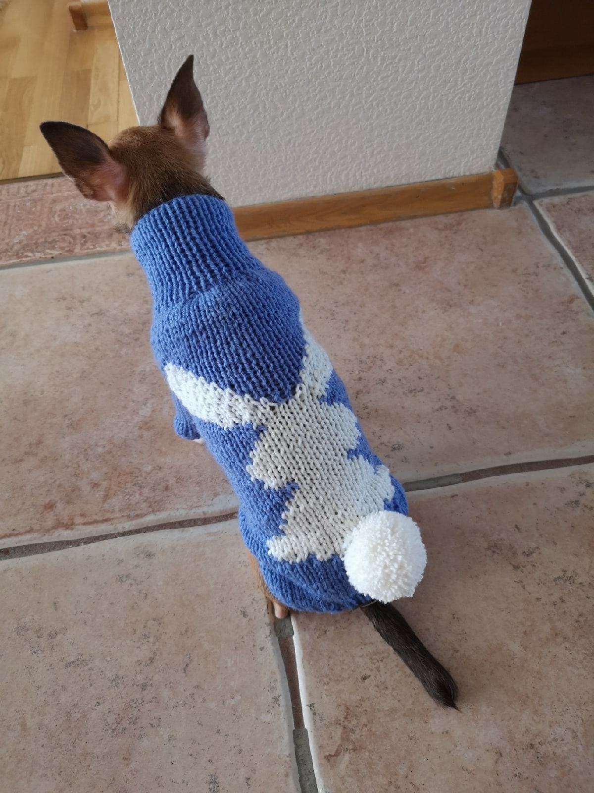 Custom dog sweater Easter puppy clothes Bunny extra small Etsy