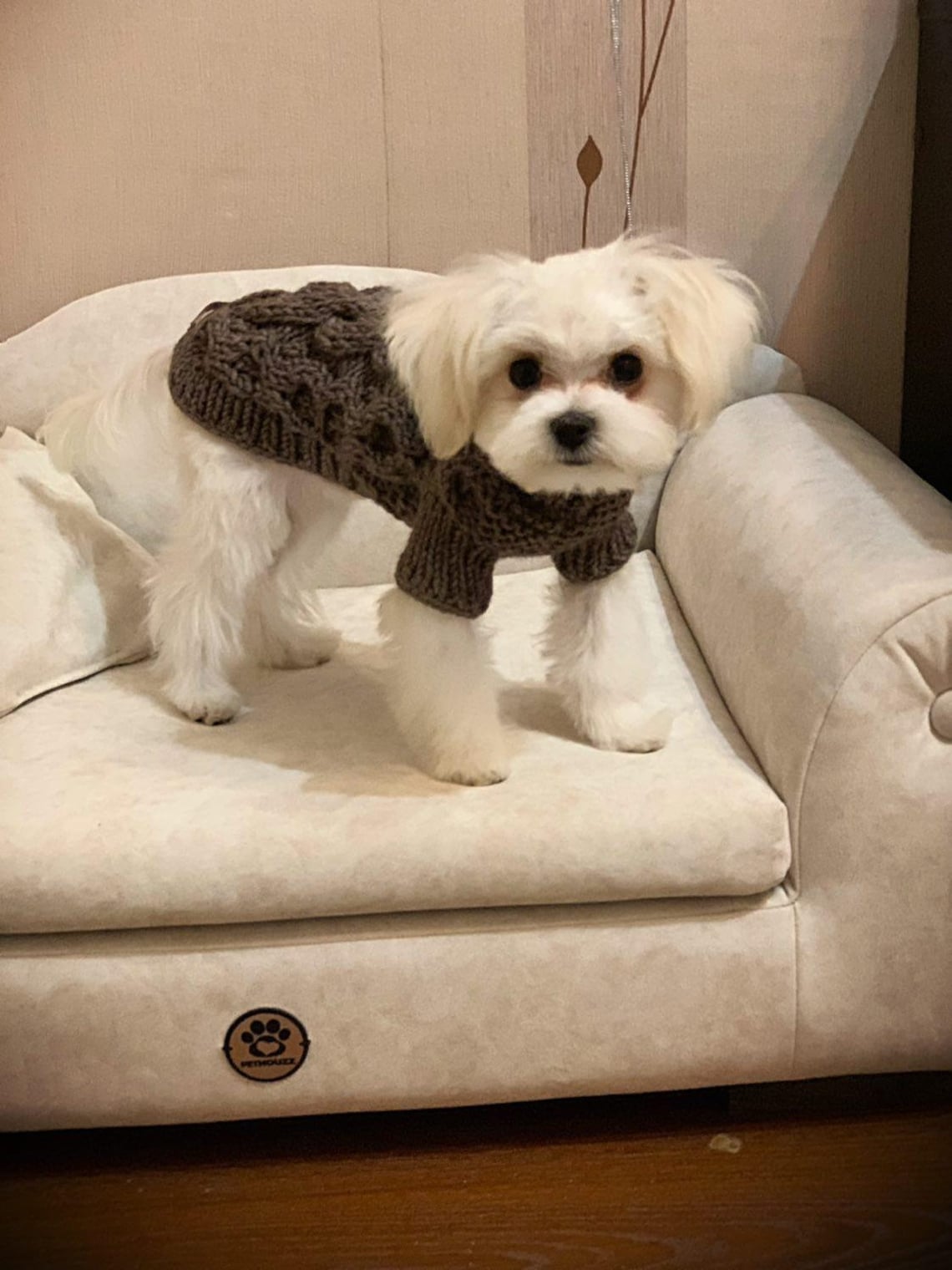 Teacup dog clothes Chihuahua clothes Small dog costume Etsy