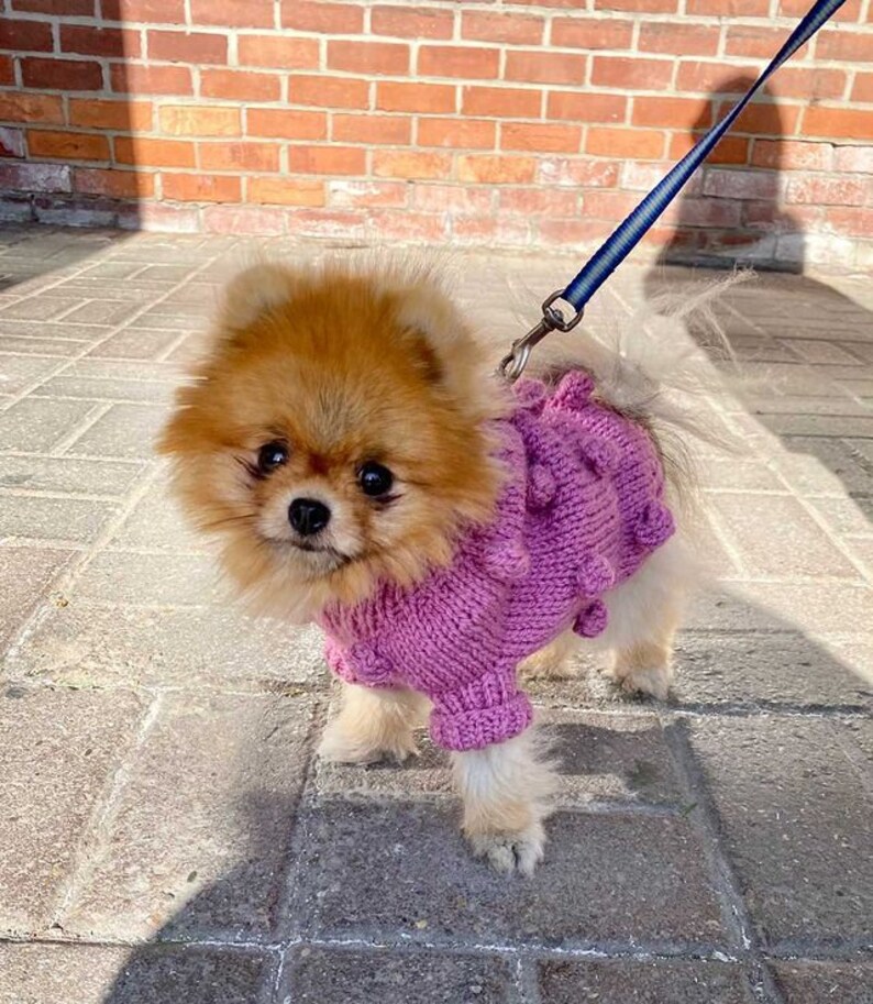 Hund Pullover für kleine Hund Blase Hund Kleidung als Etsy