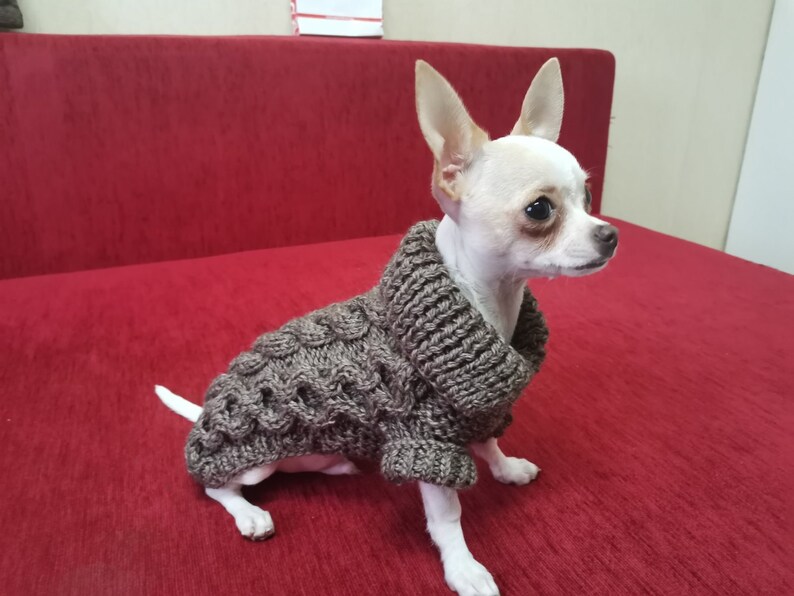 Teacup dog clothes Chihuahua clothes Small dog costume Etsy