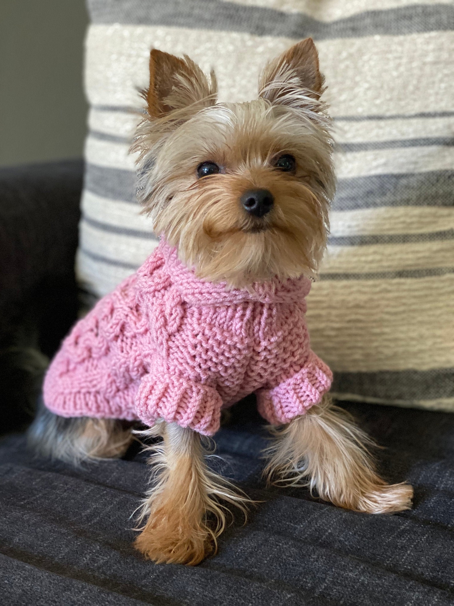 Small chihuahua dog clothes Pink dog sweater for girl Etsy