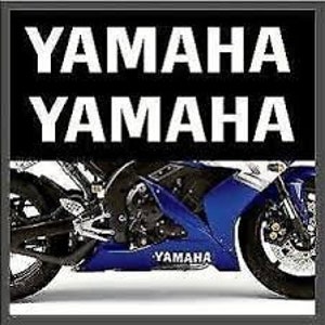 KODASKIN Motorcycle Stickers Rasie 3D EMBLEM Fairing Kit Side Decals