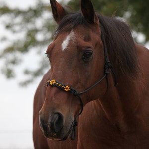 Ready to ship hand braided sunflower horse halter