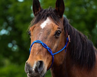 Handmade Knotless rope halter