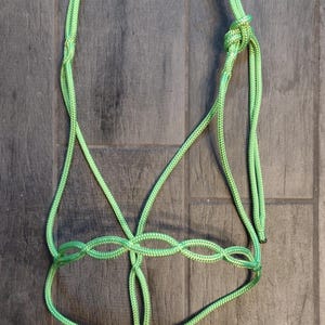 Handmade Knotless Rope Halter - Etsy