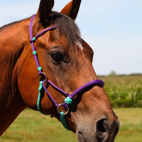 Ready to ship! Handmade rope horse sidepull bitless bridle hackamore