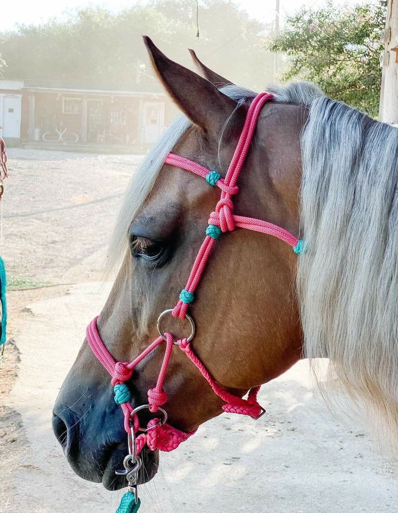 Custom Handmade Rope Horse Sidepull Bitless Bridle Hackamore Etsy