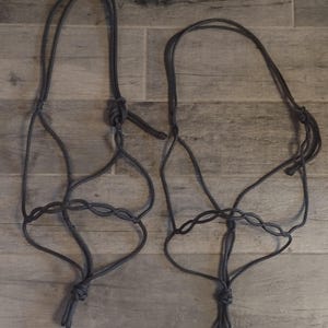 Handmade Knotless Rope Halter - Etsy