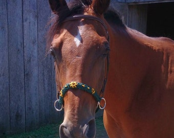 Sunflower paracord bitless bridle, sidepull attachment.