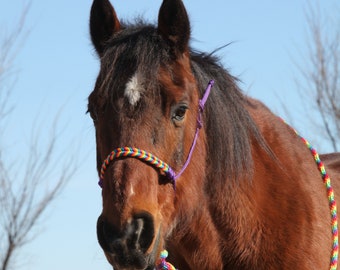 Ready to ship handmade soft yacht rope halter and lead rope