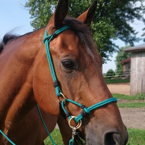 custom handmade rope horse sidepull bitless bridle hackamore
