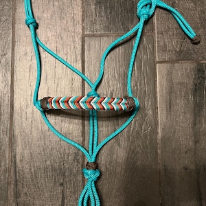 May include: A turquoise rope halter featuring a noseband with a braided pattern in white, red, and turquoise, accented by dark brown knots at the ends of the noseband and a dark brown knot at the base of the chin strap, constructed from nylon cord.