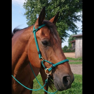 custom handmade rope horse sidepull bitless bridle hackamore