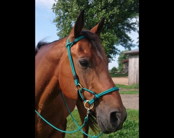 custom handmade rope horse sidepull bitless bridle hackamore