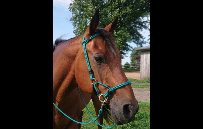 Custom Handmade Rope Horse Sidepull Bitless Bridle Hackamore Etsy