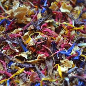 Peut inclure: Un mélange de pétales de fleurs séchées dans des tons de jaune, rouge, bleu et violet. Les pétales sont éparpillés en un tas, créant un fond coloré et texturé.
