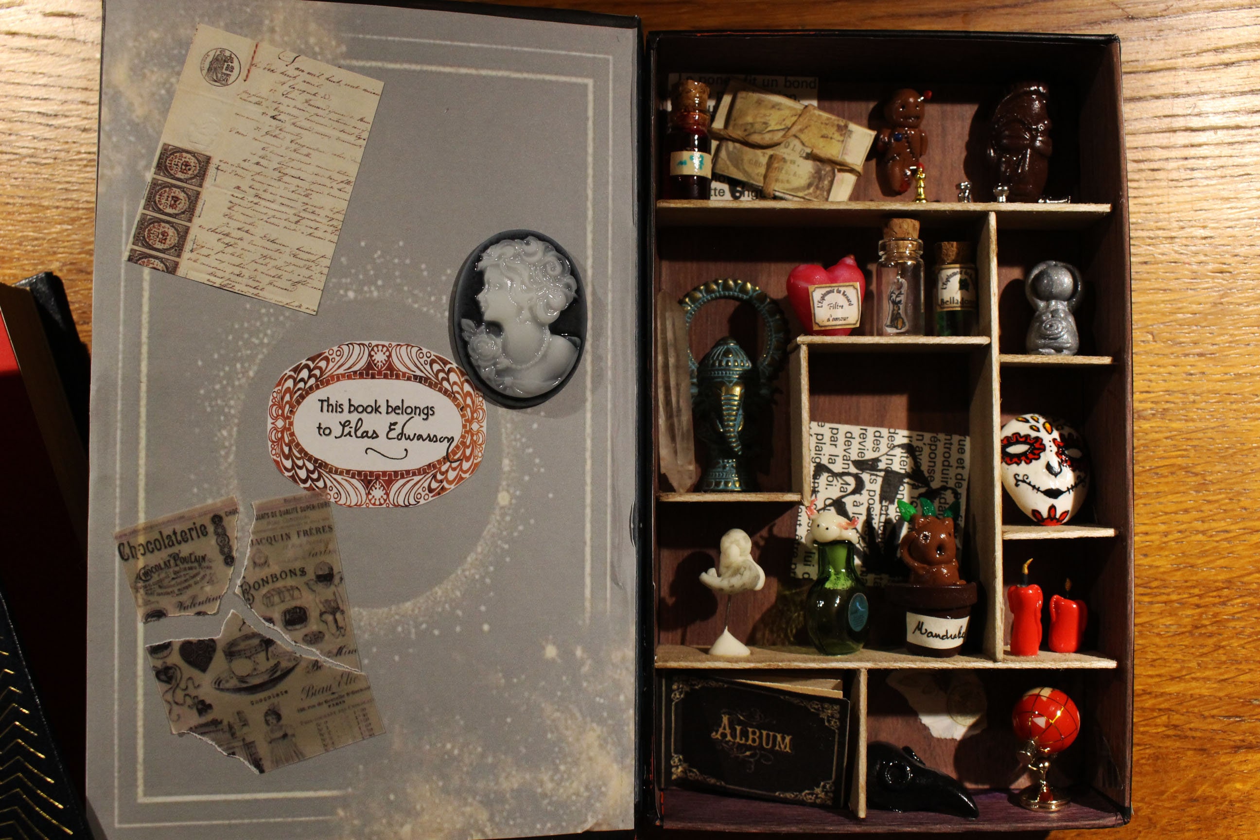 Cabinet de Curiosités, Cabinet Miniature Curiosité, Pièce Unique, Livre Imaginaire, Décoration Origi