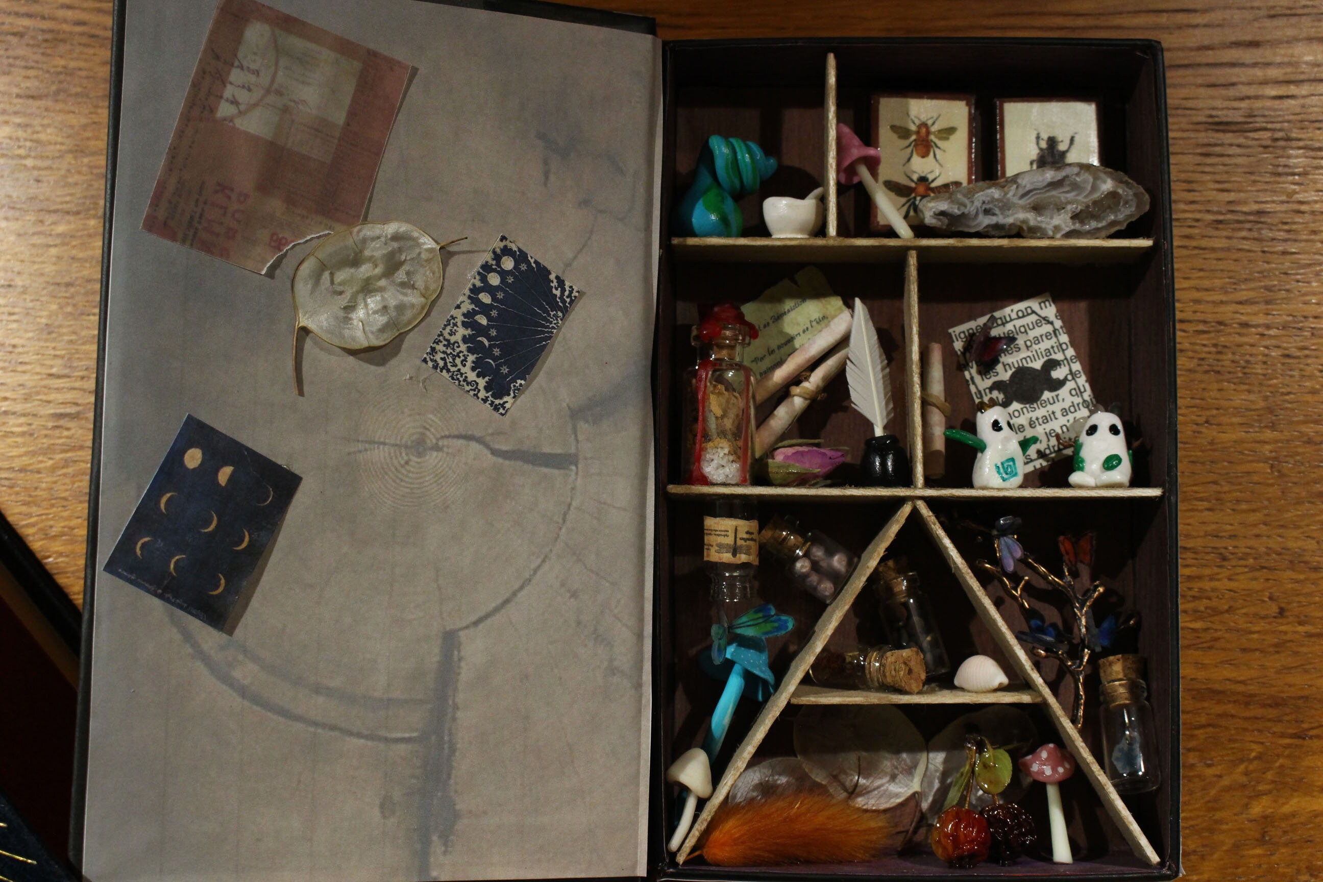 Cabinet de Curiosités, Cabinet Miniature Curiosité, Pièce Unique, Pirate, Livre Imaginaire, Décorati