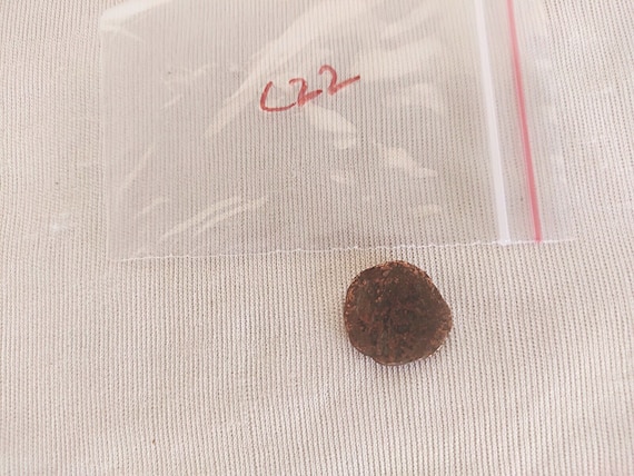 Old Mughal Empire Ancient Copper Coin – Rare Vintage Indian Currency, Historical Collectible Artifact for Numismatists & History Enthusiasts
